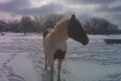 Emily having fun in the snow